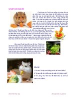 Bài 10. Ăn nhiều rau và quả chín. Sử dụng thực phẩm sạch và an toàn.