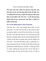 Tái tạo xương hàm mặt bằng vi phẫu docx