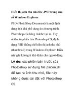 Hiển thị ảnh thu nhỏ file .PSD trong cửa sổ Windows Explorer pot