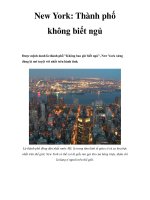 New York: Thành phố không biết ngủ pot