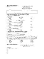 Kiểm tra HKI tiếng Anh 6