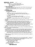 Giáo án bồi dưỡng hè ngữ văn 6