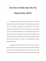 Tiên Đoán Tai Biến Mạch Máu Não (Phương Pháp ABCD²) potx