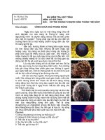 cơ thể chúng ta được hình thành như thế nào?