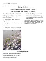 Bài 26: Nguyên nhân làm nước bị ô nhiễm