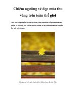 Chiêm ngưỡng vẻ đẹp mùa thu vàng trên toàn thế giới doc