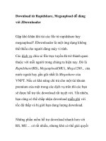 Download từ Rapidshare, Megaupload dễ dàng với JDownloader ppt