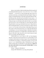 Nghiên cứu thực hiện bộ điều khiển số trên nền tảng DSP TMS320C2000S