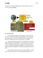 Phương pháp kiểm tra truy cập ACLS part6 ppt