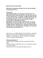 bệnh khô héo hoa cẩm chướng potx