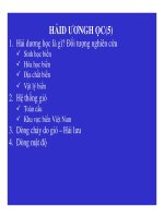 Bài giảng cơ sở Kỹ thuật bờ biển (chương 4) pps