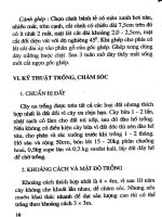 [Nông Nghiệp] Trồng Xoài, Na, Đu Đủ, Hồng Xiêm - Gs.Ts.Trần Thế Tục phần 2 potx