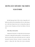 HUỚNG DÂN MỚI ĐIỀU TRỊ NHIỄM NẤM Ở PHỔI H pps