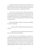 Hình thức phân phôi thu nhập kinh tế ở Việt Nam part 2 ppt