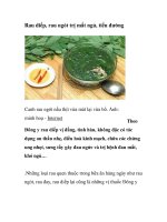 Rau diếp, rau ngót trị mất ngủ, tiểu đường pptx