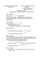 Đề thi chuyên Bắc Ninh năm 2010-2011