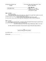 Đề thi HSG Văn TP Hà Nội 2010