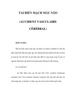 TAI BIẾN MẠCH MÁU NÃO (ACCIDENT VASCULAIRE CÉRÉBRAL) pdf