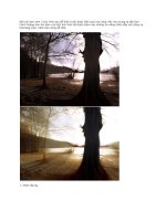 Hiêu ứng ảnh - tia năng hoàng hôn ppsx