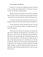 Quy luật phát triển định hướng nền kinh tế trong thời kỳ đầu part7 ppsx