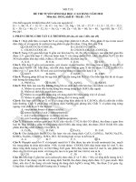 DE VA GIAI HOA -B 2010