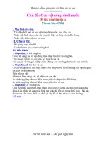 Con vật dưới nước