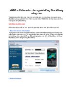 VNBB – Phần mềm cho người dùng BlackBerry nâng cao pot