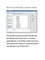Mã hóa bảo vệ dữ liệu bằng 13 thuật toán miễn phí ppt