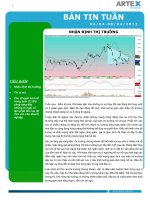 Công ty CPCK Artex nhận định thị trường tuần 04/04-08/04/2011 pdf