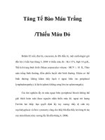 Tăng Tế Bào Máu Trắng /Thiếu Máu Đỏ pptx