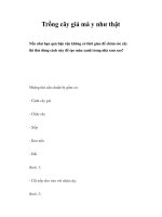 Trồng cây giả mà y như thật docx