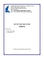 Môn: Lập trình hướng đối tượng pptx