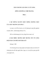 CHẤN THƯƠNG CỘT SỐNG VÀ TỦY SỐNG (SPINE AND SPINAL CORD TRAUMA) - Phần 1 ppt