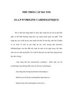 PHÙ PHỔI CẤP DO TIM (O.A.P D’ORIGINE CARDIOGENIQUE) pot