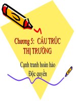 Bài giảng: Cấu trúc thị trường pps