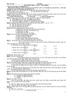 Bai on tap va kiem tra LTVC danh cho HSG lop 5