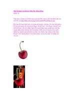 Một Quảng Cáo Rượu Màu Sắc Sống Động (phần 4) doc