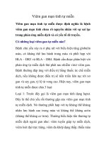 Viêm gan mạn tính tự miễn pot