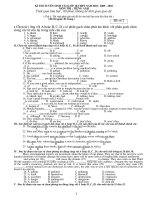 de thi lop 10- de so 2