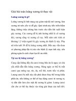 Giải bài toán loãng xương từ thực vật docx