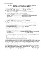 de thi xep lop 10 nam 2010