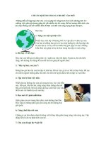 Chuẩn bị hành trang cho bé vào đời