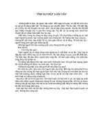 một số biện pháp bảo vệ môi trường