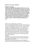 Đánh bắt và bảo quản cá mú giống doc