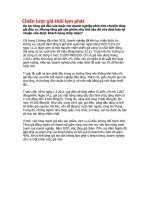 Chiến lược giá thời lạm phát doc