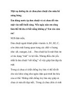 Mặt nạ dưỡng da cà chua,dưa chuột cho mùa hè nóng bỏng pdf