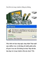 Xoá file rác trong windows bằng tay không pptx