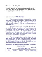 Phân hữu cơ - than bùn, phân dơi, tro ppsx