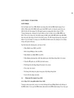 Cơ bản giới thiệu mạng Wan & Router part7 pdf