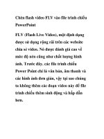 Chèn flash video FLV vào file trình chiếu PowerPoint pptx